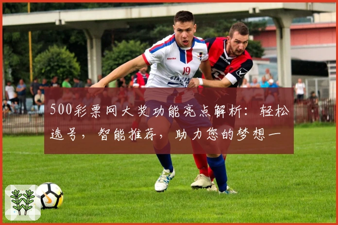 500彩票网大奖功能亮点解析：轻松选号，智能推荐，助力您的梦想一步到位