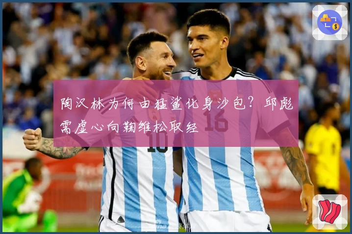 陶汉林为何由猛鲨化身沙包？邱彪需虚心向鞠维松取经