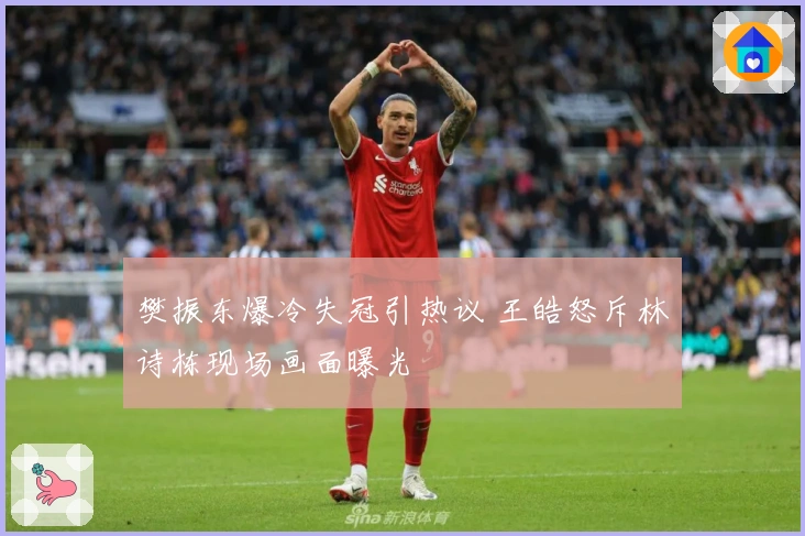 樊振东爆冷失冠引热议 王皓怒斥林诗栋现场画面曝光