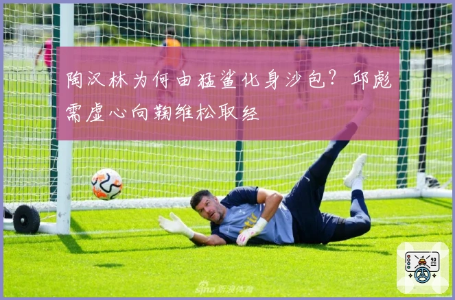 陶汉林为何由猛鲨化身沙包?邱彪需虚心向鞠维松取经